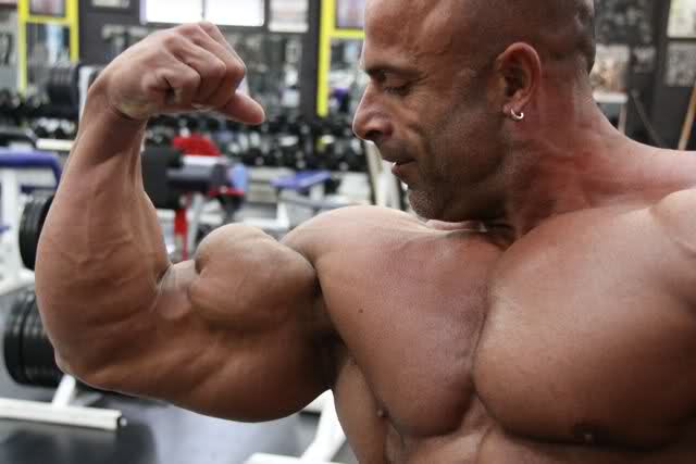 2010 Bodybuilding Images