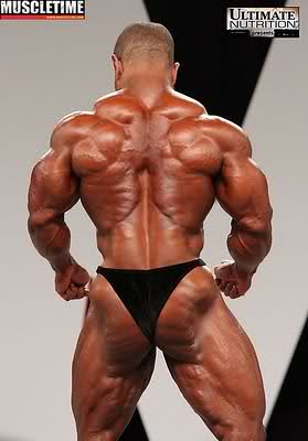 2010 Bodybuilding Images