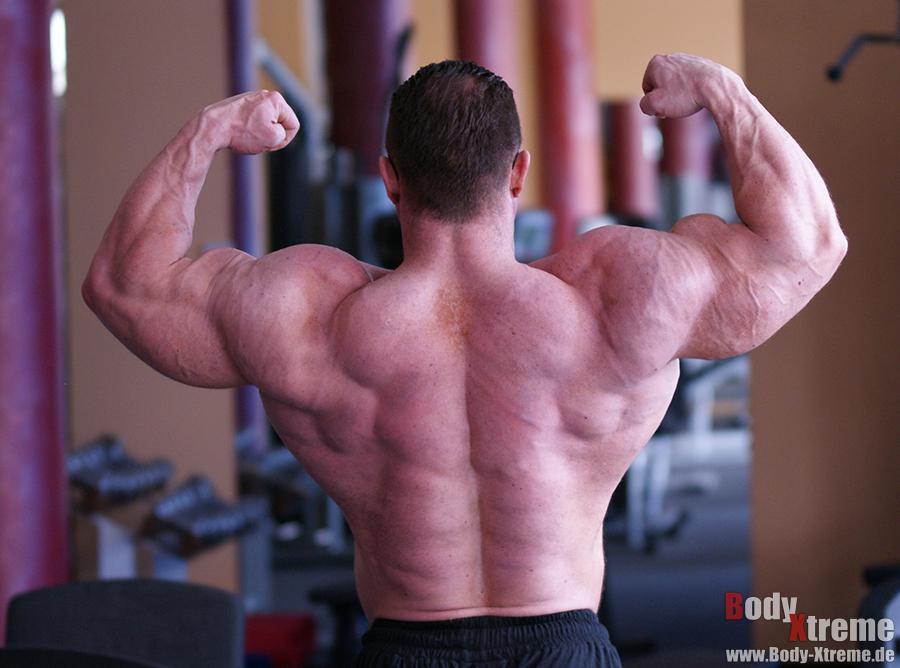 2010 Bodybuilding Images