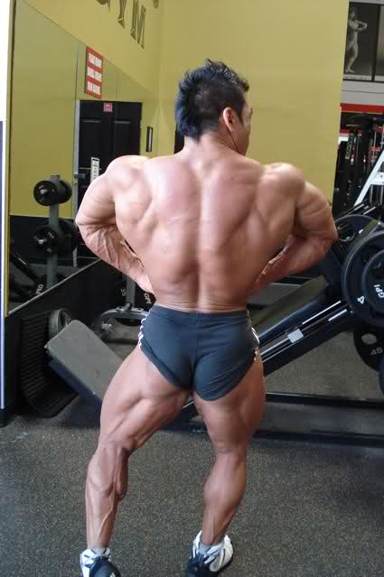 2010 Bodybuilding Images