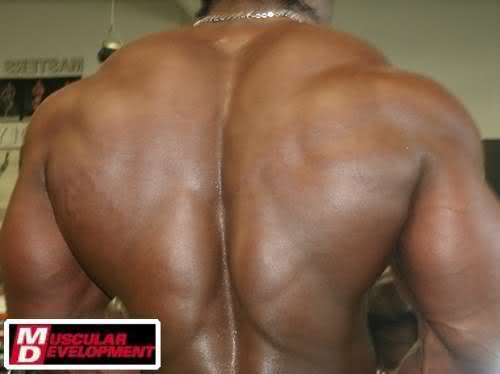 2010 Bodybuilding Images