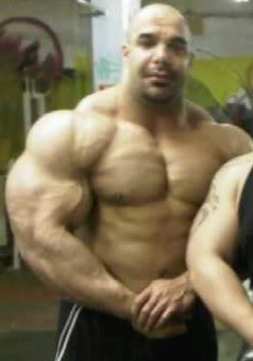 2010 Bodybuilding Images