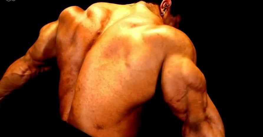 2010 Bodybuilding Images