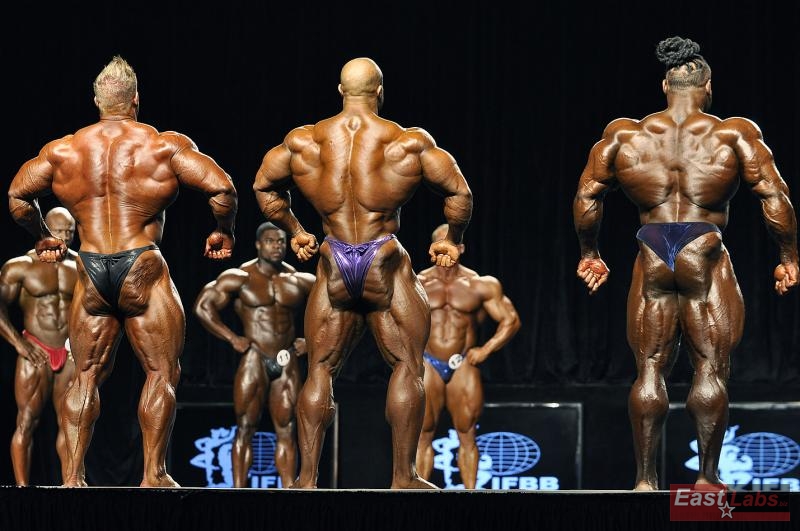 2011 Bodybuilding images