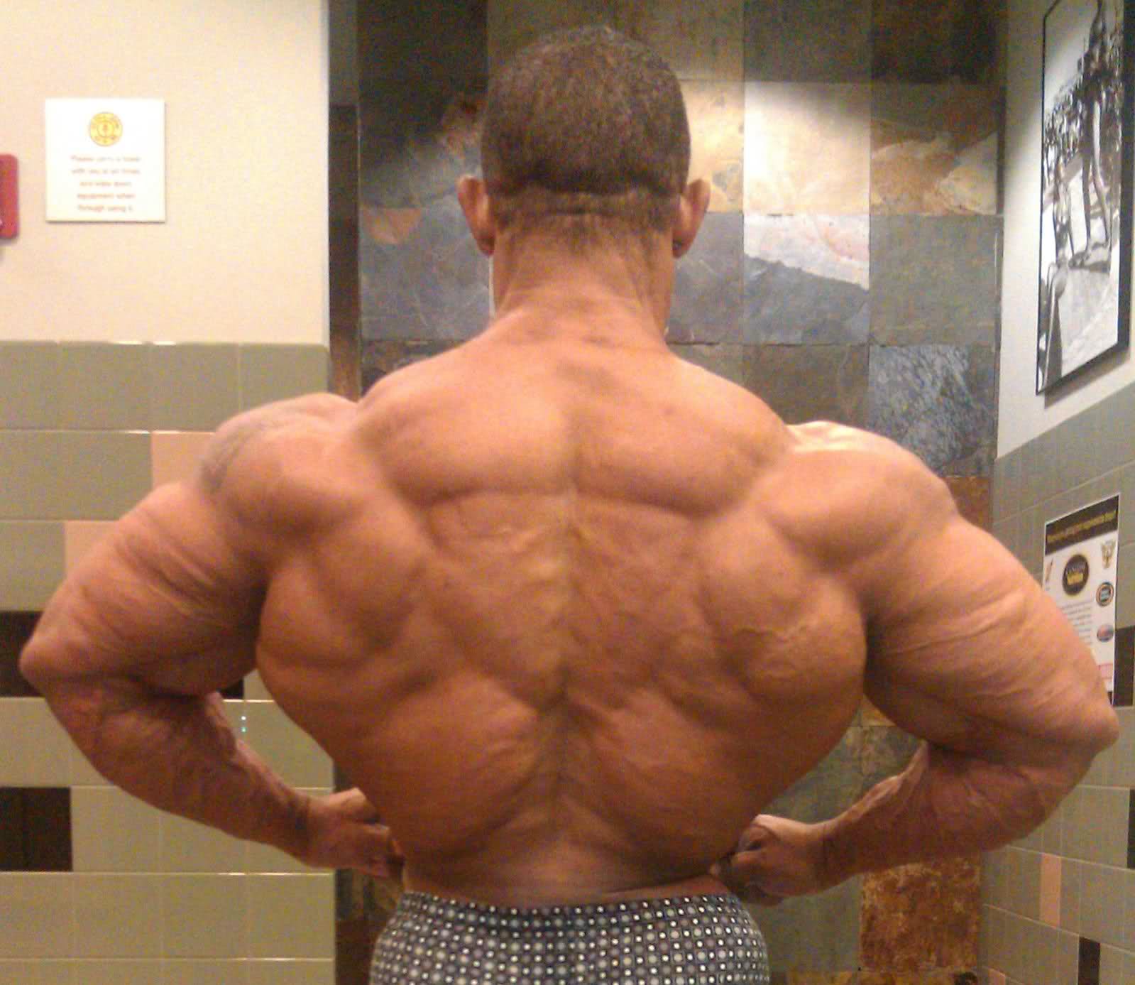 2011 Bodybuilding images