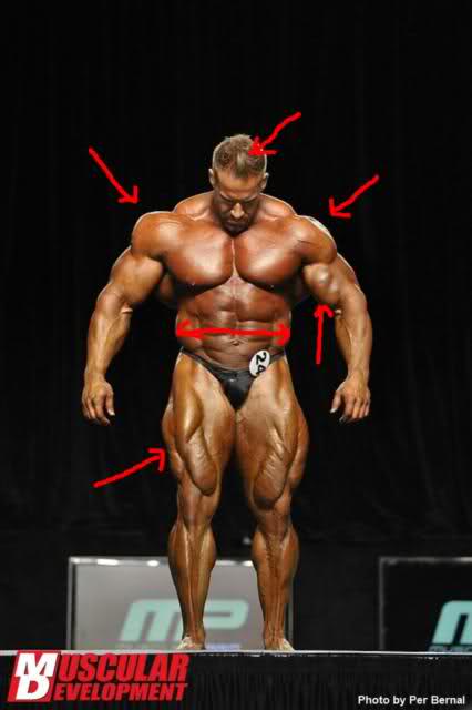 2011 Bodybuilding images