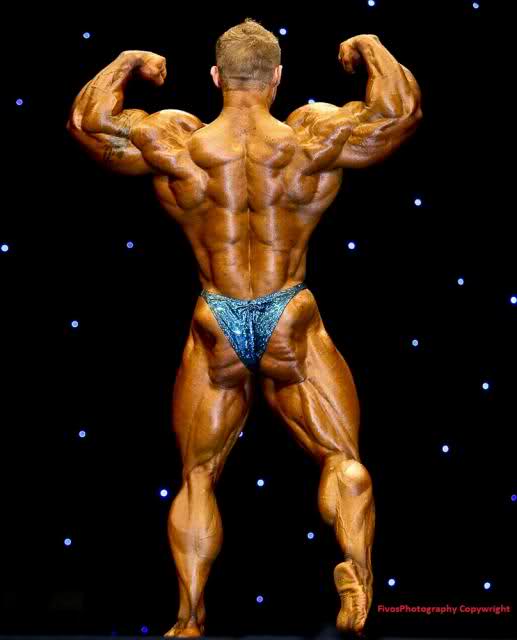 2011 Bodybuilding images