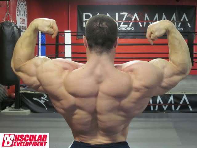 2011 Bodybuilding images