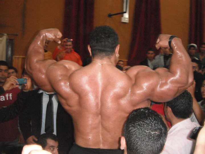 2011 Bodybuilding images