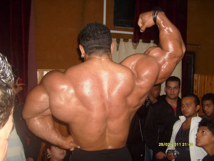 2011 Bodybuilding images