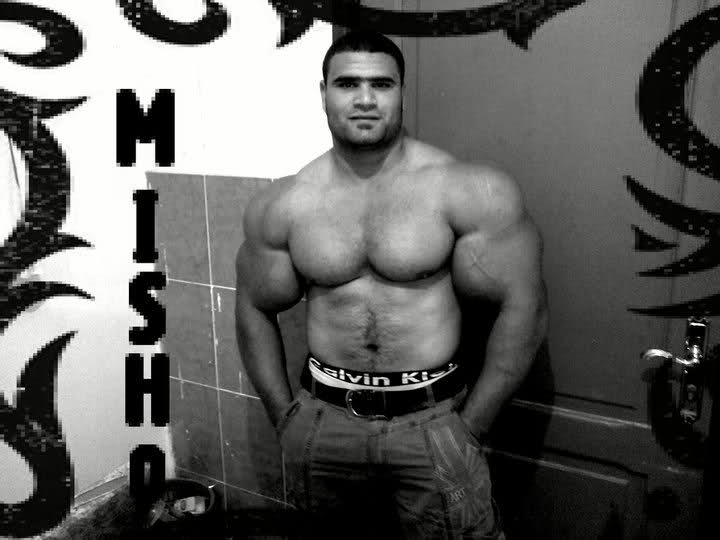 2011 Bodybuilding images