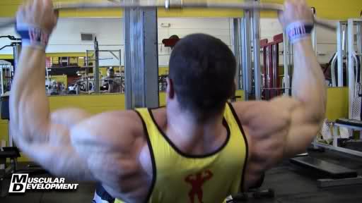 2011 Bodybuilding images