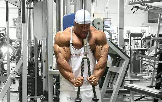 2011 Bodybuilding images