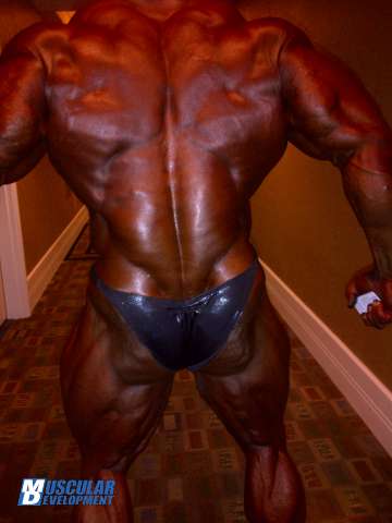 2011 Bodybuilding images