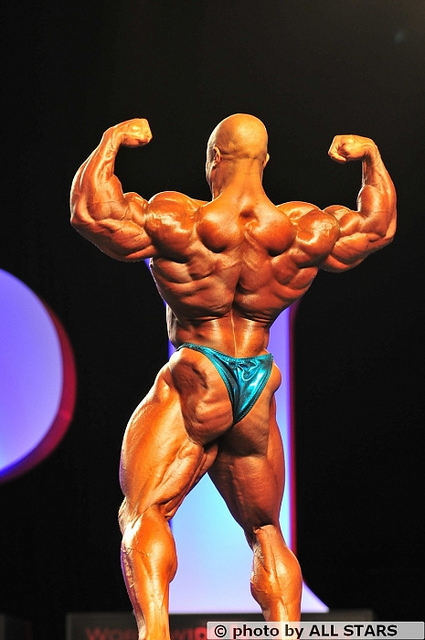 2011 Bodybuilding images