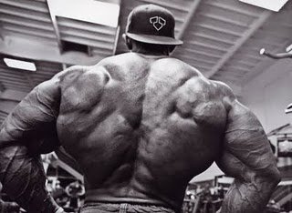 2011 Bodybuilding images