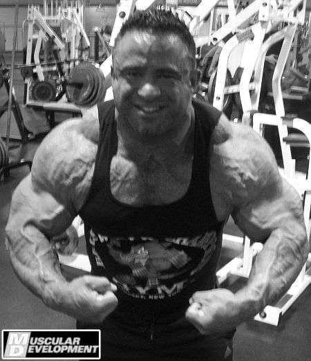 2011 Bodybuilding images