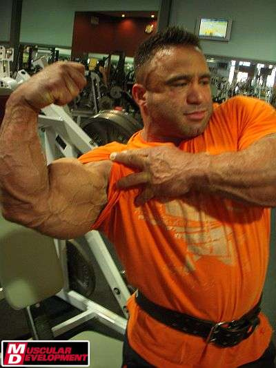 2011 Bodybuilding images