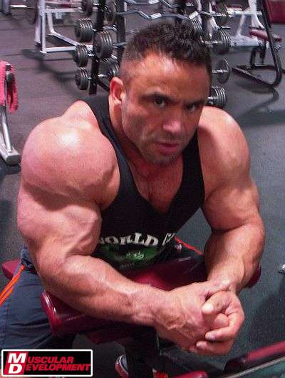 2011 Bodybuilding images