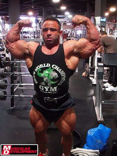 2011 Bodybuilding images