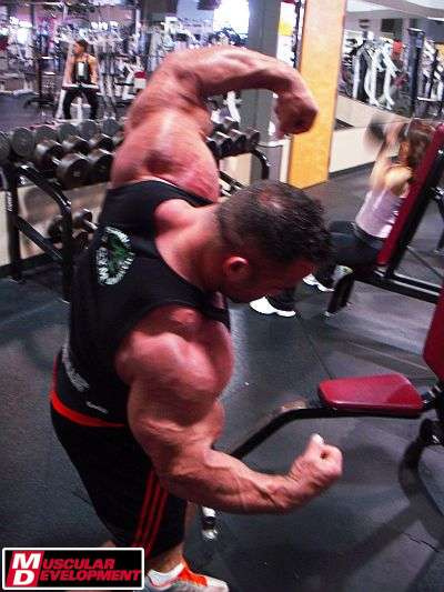 2011 Bodybuilding images