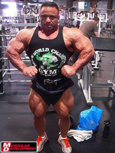 2011 Bodybuilding images