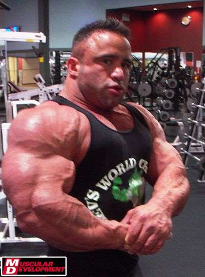 2011 Bodybuilding images