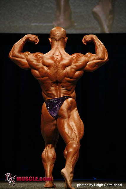 2011 Bodybuilding images