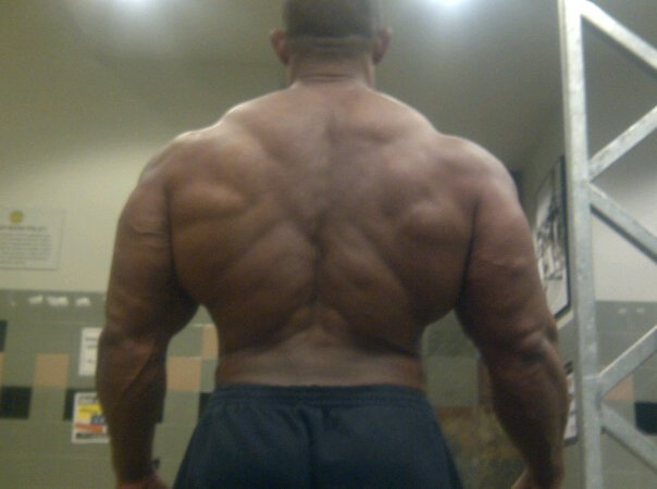 2011 Bodybuilding images