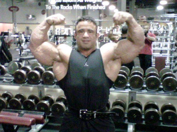 2011 Bodybuilding images