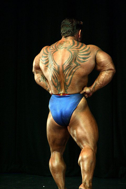 2011 Bodybuilding images