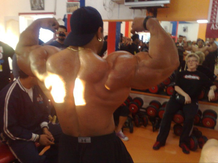 2011 Bodybuilding images