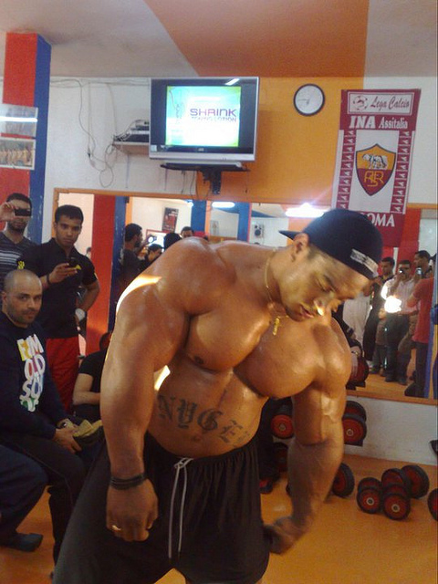 2011 Bodybuilding images