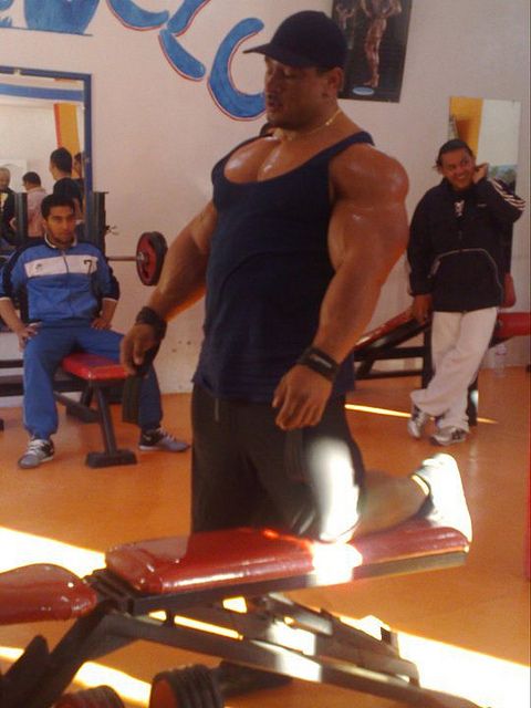 2011 Bodybuilding images