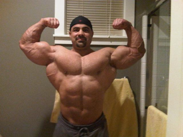 2011 Bodybuilding images