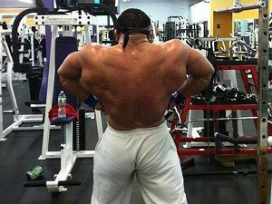 2011 Bodybuilding images