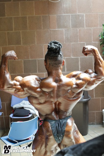 2011 Bodybuilding images