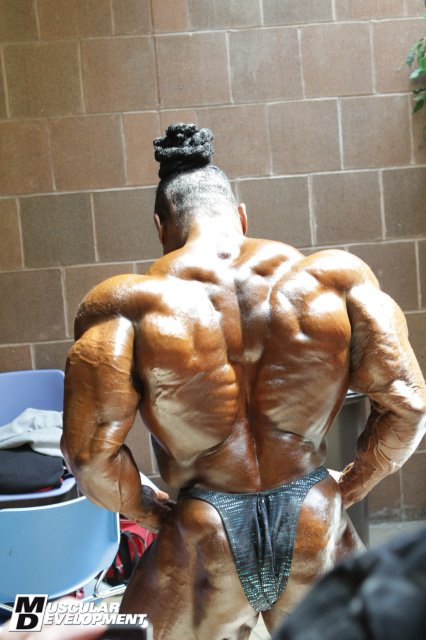 2011 Bodybuilding images