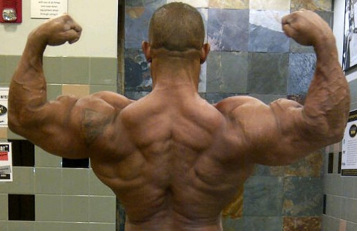 2011 Bodybuilding images