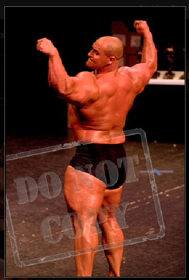 2011 Bodybuilding images