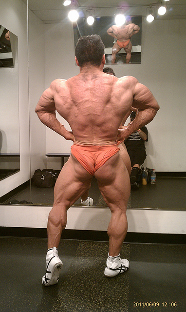 2011 Bodybuilding images