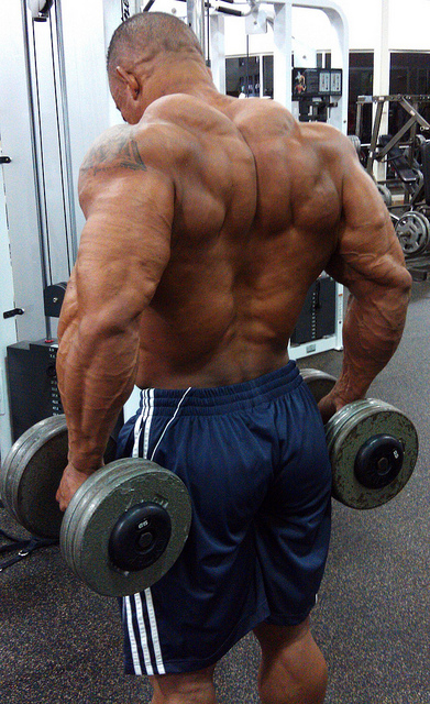 2011 Bodybuilding images