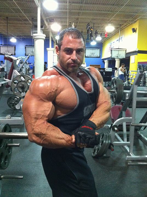 2011 Bodybuilding images