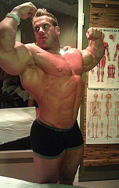 2011 Bodybuilding images
