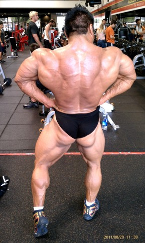 2011 Bodybuilding images