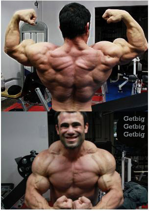 2011 Bodybuilding images