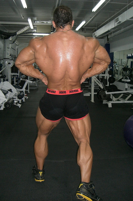 2011 Bodybuilding images