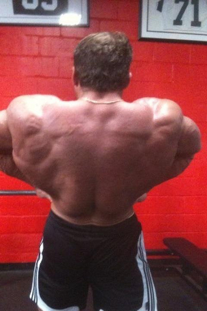 2011 Bodybuilding images