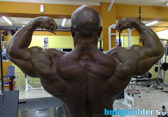 2011 Bodybuilding images