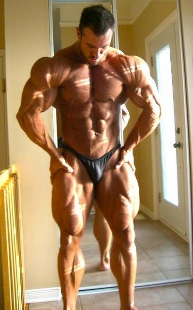 2011 Bodybuilding images